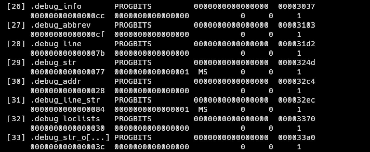 Debug Info